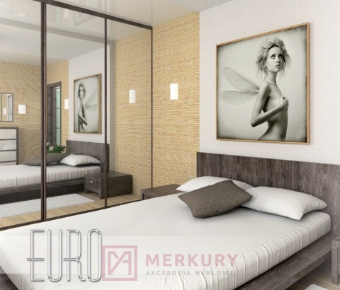 Zestaw system przesuwny EURO 5+,3 drzwi, aluminium, 3m MERKURY Akcesoria Meblowe
